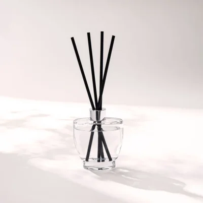 Dunelm Moments Neroli Blush Diffuser