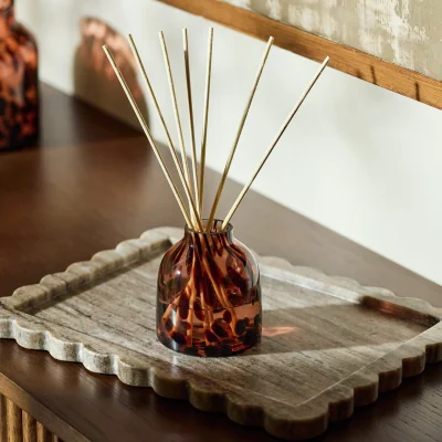 Habitat Habitat Confetti 90ml Reed Diffuser - Autumn Spice