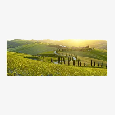 John Lewis Acqua di Parma Buongiorno Diffuser, 180ml