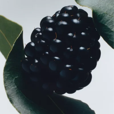 John Lewis Jo Malone London Blackberry and Bay Diffuser, 165ml