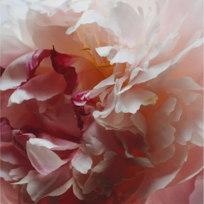 John Lewis Jo Malone London Peony & Blush Suede Scent Surround Diffuser, 165ml