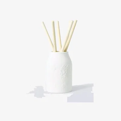 John Lewis John Lewis x Sanderson Summer Garden Reed Diffuser, 120ml