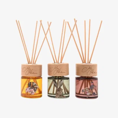 Downtown Meg Hawkins Mini Reed Diffusers - The Field - Set of 3 In Multi