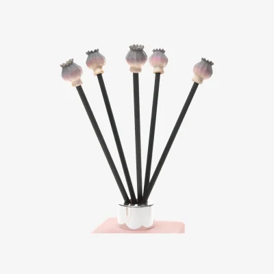 The Range Poppy Seed Heads  Diffuser Dcor - Neutral