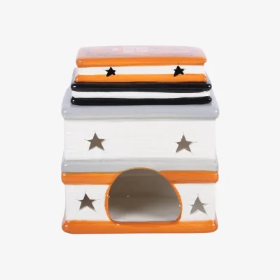 The Range Haunted Library Halloween Aromatherapy Burner  - Orange