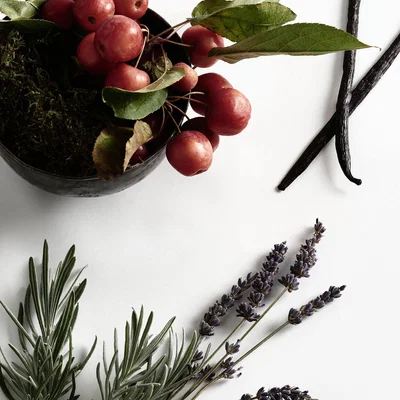 Wolf & Badger White Birch Leaf, Norfolk Lavender & Vanilla Diffuser | London & Avalon