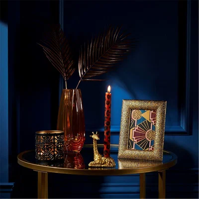 Amara Biba Leopard Print Photo Frame
