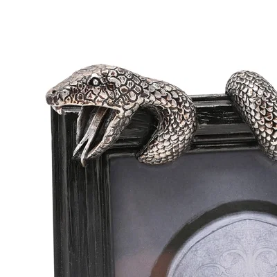 Dunelm Harry Potter Nagini Photo Frame
