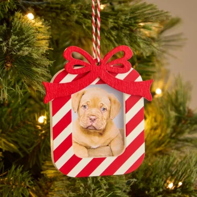 Dunelm Photo Frame Hanging Decoration