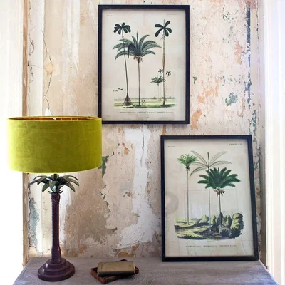 Graham & Green Set of Two Framed Palm Tree Prints