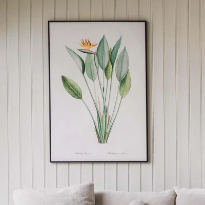 Graham & Green Large Framed Crane Flower Print