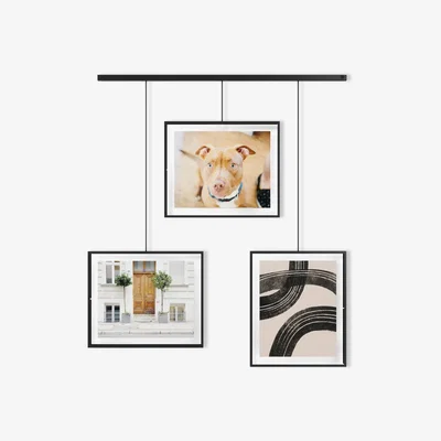 John Lewis Umbra Exhibit Multi Hanging Photo Frame Display, 3 Photo, 8 x 10" (20 x 25cm), Black