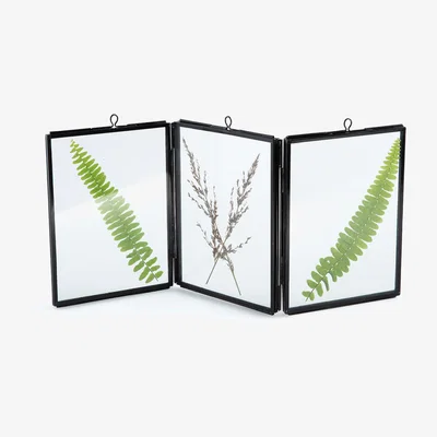La Redoute Uyova 3-Frame Set