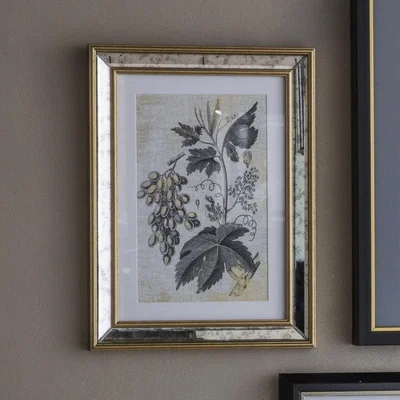 Olivia's Gallery Direct Braun Botanical Studies Set Of 2