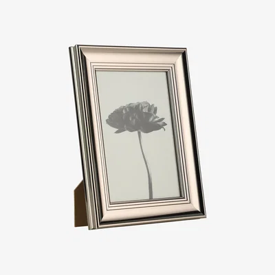 Pagazzi Renabie Chrome Frame