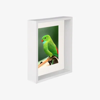 The Range 8" x 10" 3D Deep Box Photo Frame - 5" x 7" Mount - WhiteIvory - White/Ivory