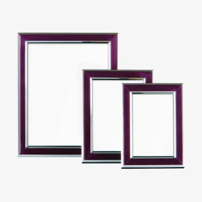 The Range Opulence Purple and Silver Photo Frames - Set of 3 - Silver