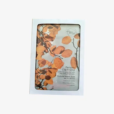 The Range Perspex Clipped Frame - 42cm
