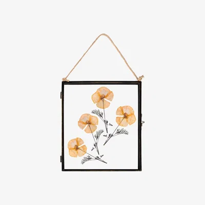 The Range 8x10" Hanging Metal Photo Frame Black - Black
