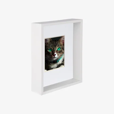 The Range 8" x 10" 3D Deep Box Photo Frame - 4" x 6" Mount - White/White