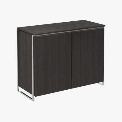 Olivia's Gillmore Federico Two Door Black Stained Oak With Polished Frame Cabinet