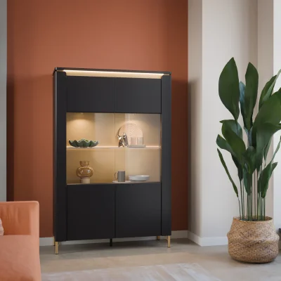 The Range Genoa Vitrin 2 Door in Black Matt/Gold - Black & Gold