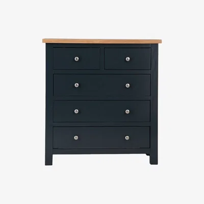 Chiltern Oak Furniture Salisbury Blue Painted Oak 2 Over 3 Chest of Drawers