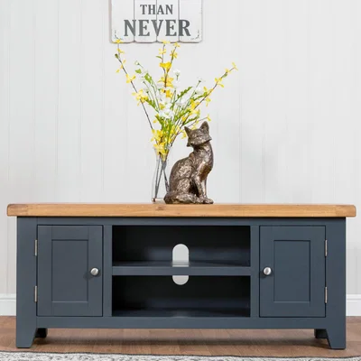 Chiltern Oak Furniture Hampshire Blue Painted Oak Large TV Unit
