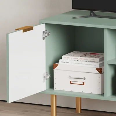 The Range 1 Door TV stand - Green