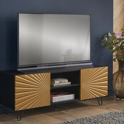 The Range Radial TV Stand 2 Door Cabinet Entertainment Unit in Black Gold - Black