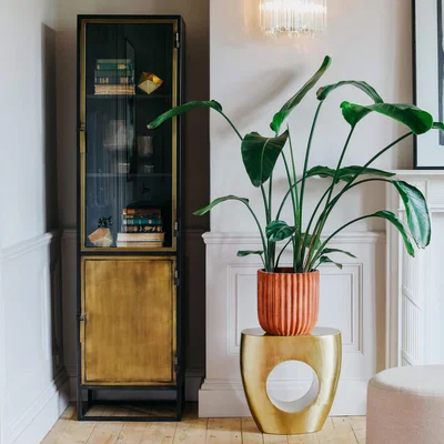 Graham & Green Dexter Single Glass Cabinet