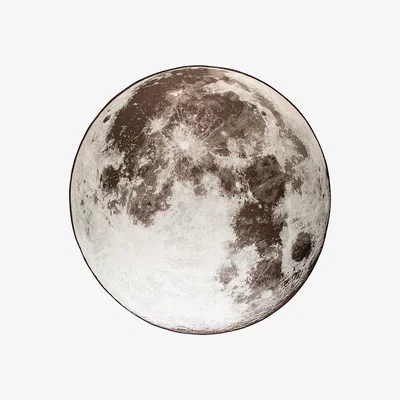 Cuckooland Zuiver Moon Outdoor Rug in Stone Grey - 280cm