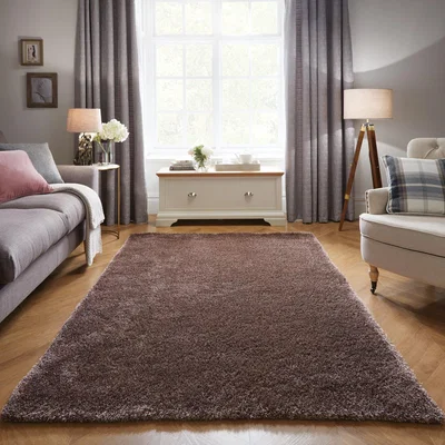 Dunelm Indulgence Shaggy Rug Indulgence Mink (Brown)