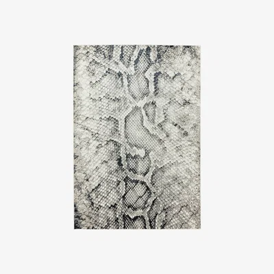 Furniture Village Quantum Snake Rug - 120cm-x-170cm