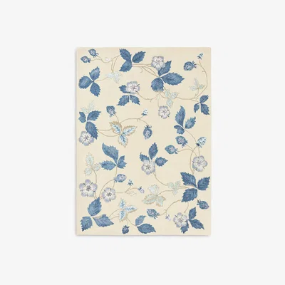 John Lewis Wedgwood Wild Strawberry Rug
