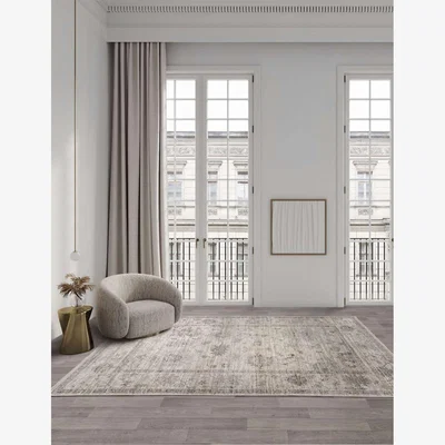 Marks & Spencer Asiatic Jasper JA02 Antique Rug - M - Beige, Beige