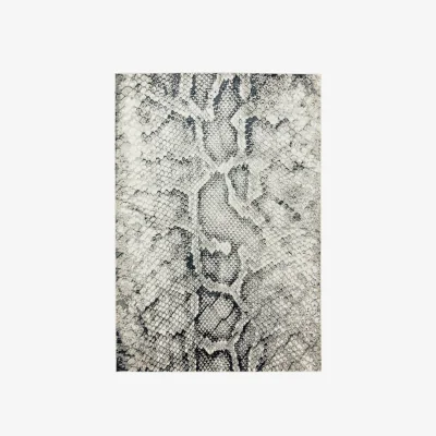 Olivia's Asiatic Carpets Quantum Machine Woven Rug Snake - 160 x 230cm
