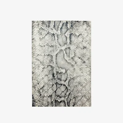 Olivia's Asiatic Carpets Quantum Machine Woven Rug Snake - 200 x 290cm