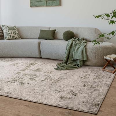 The Range Opal Ivory Green Distressed Abstract Living Area Rug - Ivory / 200 x 275cm