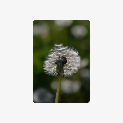 The Range Fluffy Flower Designer Rug - Green / 200cm