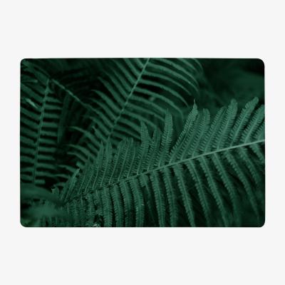 The Range Plants Background. Biophilia Trend Designer Rug - Green / 200cm