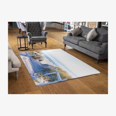 The Range Path To The Beach At Baltic Sea Designer Rug - White / 110cm