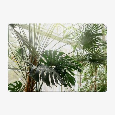 The Range Green Plants In Botanical Garde Designer Rug - Green / 200cm