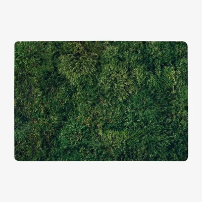 The Range Natural Green Moss Designer Rug - Green / 150cm