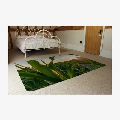 The Range Corn And Sun Close Up Designer Rug - Green / 230cm