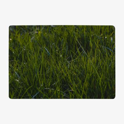 The Range Fresh Green Grass Background, Natural Grass Designer Rug - Green / 150cm