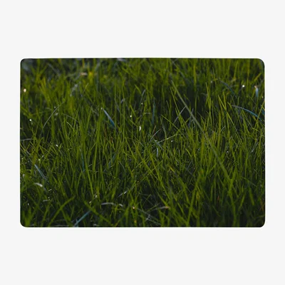 The Range Fresh Green Grass Background, Natural Grass Designer Rug - Green / 150cm