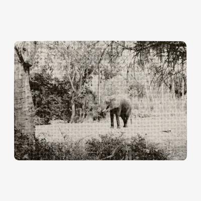 The Range Elephant Jungle Rug - Black / 150cm
