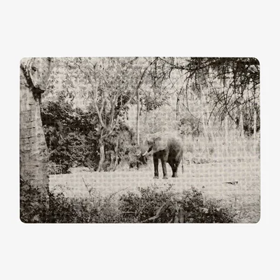 The Range Elephant Jungle Rug - Black / 150cm