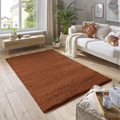 The Range Soft Fluffy 5cm Thick Pile Shaggy Area Rugs for Living Room, Bedroom - Terracotta